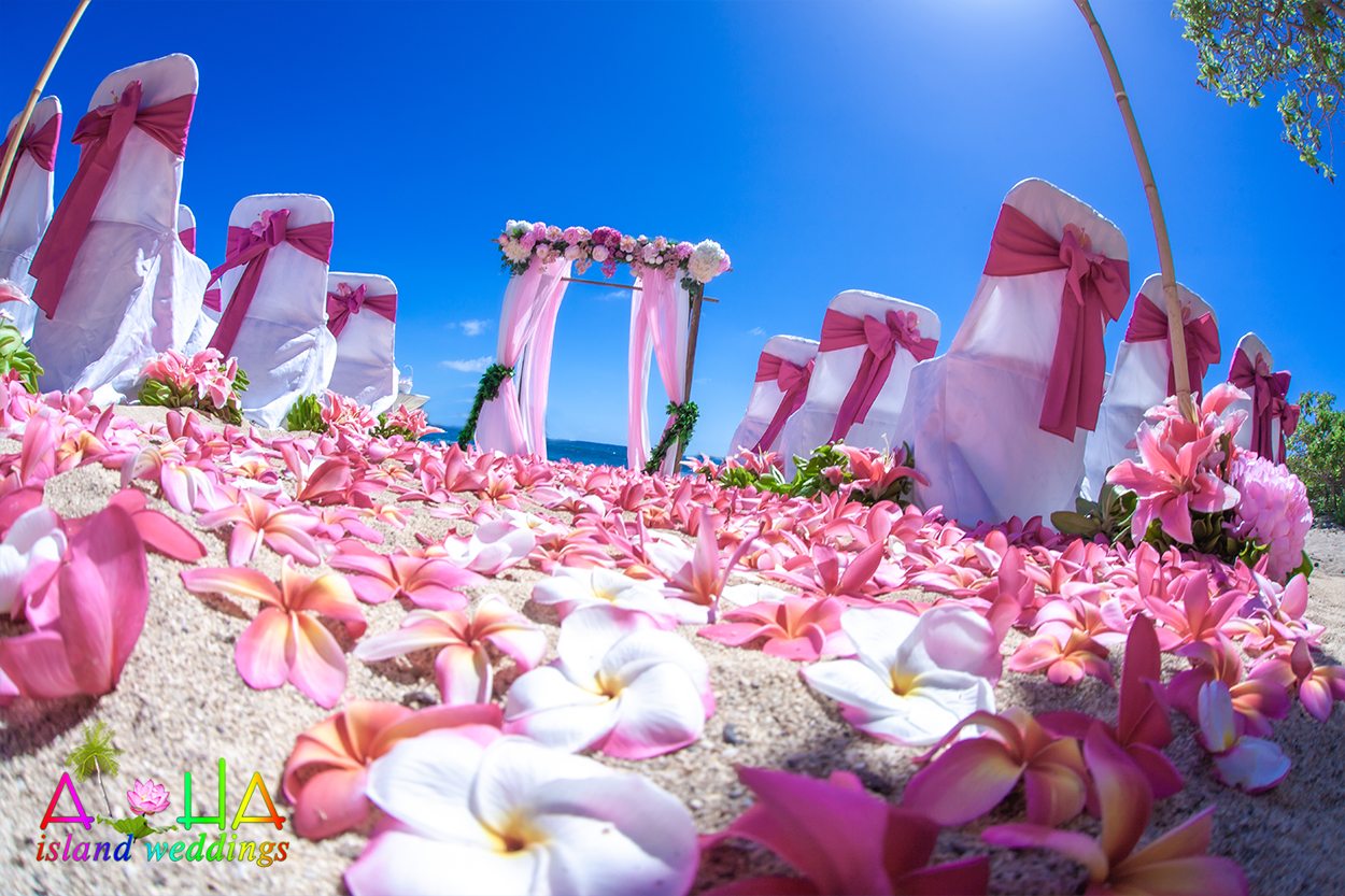 Pathway of pink plumerias leading to a bamboo arch draped in fabric by the Pacific